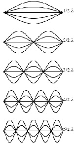 1471 image 2