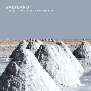 saltland_i-thought
