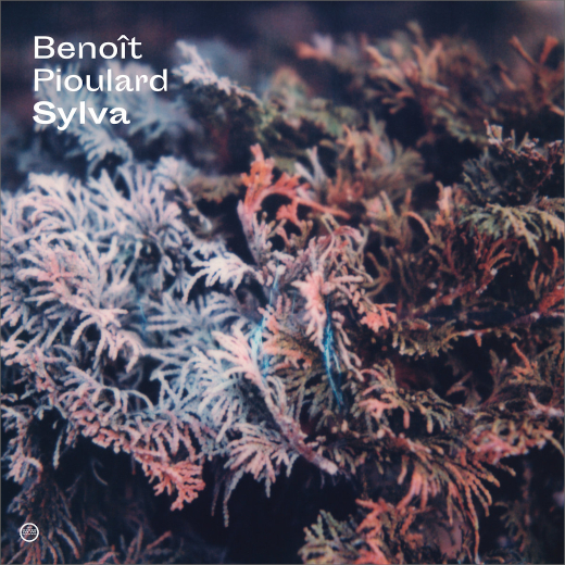 Benoît Pioulard :: Sylva (Morr Music)