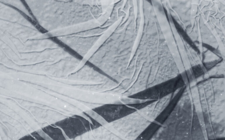 Igloo Magazine :: Scanner :: Forces, Reactions, Deflections (quiet details)