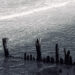 RL Huber :: Sea Legs (Self Released)