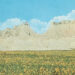 Black Brunswicker :: Dreams of a Sunflower River (Nettwerk)