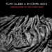 Flint Glass & Ah Cama-Stoz :: The Shadow of the Torturer (Ant-Zen)