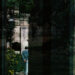 S. Salter :: Ara EP (Plusha)