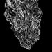 Sutekh Hexen & Hissing :: SH:HS EP (Cyclic Law / Phage Tapes)