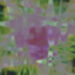 The Field :: Now You Exist (Studio Barnhus)