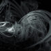 Somatic Responses :: Operational Ambivalence (Self Released)