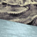 Boddy | Scanner :: Juxtapositions (DiN)