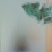 Oen Sujet :: The Friendliest Fight We Know (Self Released)