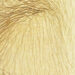 bvdub :: Morning Glories (quiet details)