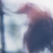 Fields We Found :: Landscape 07 (quiet details)